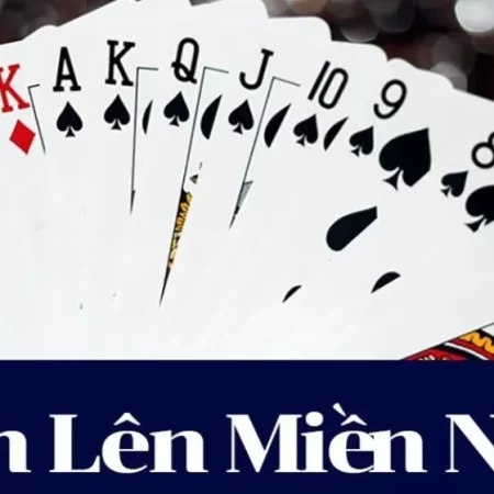 Bảng Xếp Hạng Bài Tiến Lên 2025: Cập Nhật Mới Nhất & Bí Quyết Tăng Thứ Hạng